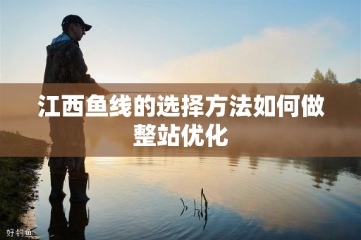 江西鱼线的选择方法如何做整站优化