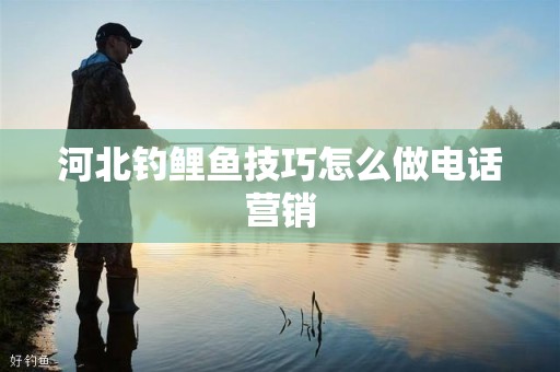 河北钓鲤鱼技巧怎么做电话营销