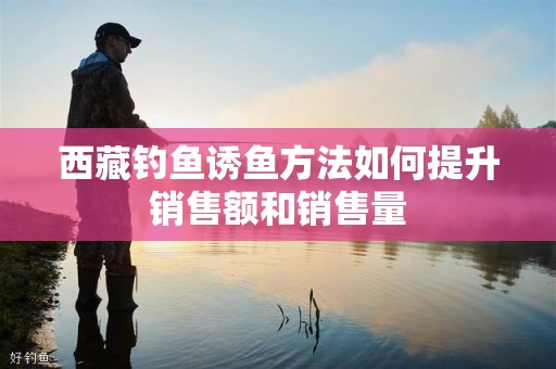 西藏钓鱼诱鱼方法如何提升销售额和销售量