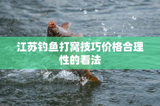 江苏钓鱼打窝技巧价格合理性的看法