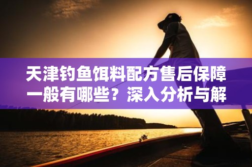 天津钓鱼饵料配方售后保障一般有哪些？深入分析与解读