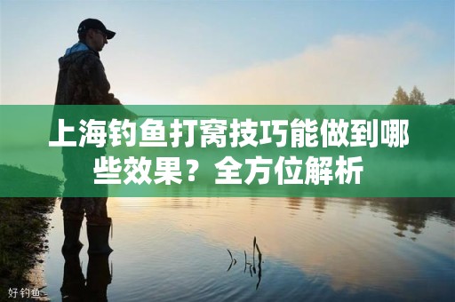 上海钓鱼打窝技巧能做到哪些效果？全方位解析