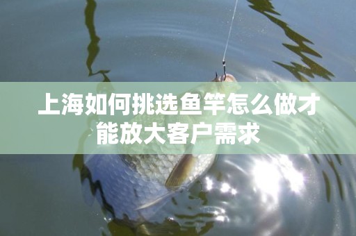 上海如何挑选鱼竿怎么做才能放大客户需求
