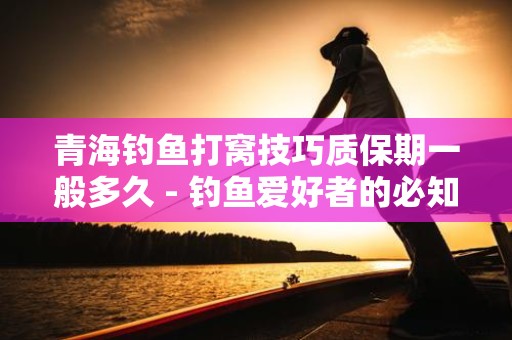 青海钓鱼打窝技巧质保期一般多久 - 钓鱼爱好者的必知指南