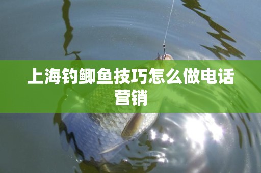 上海钓鲫鱼技巧怎么做电话营销