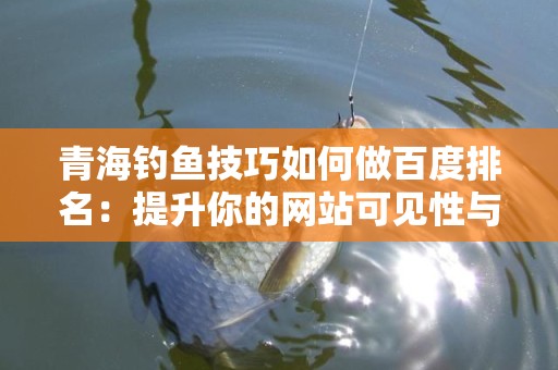 青海钓鱼技巧如何做百度排名：提升你的网站可见性与流量