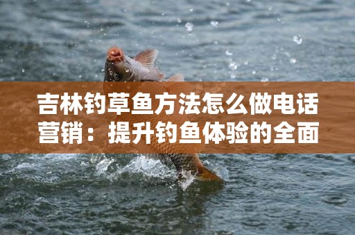 吉林钓草鱼方法怎么做电话营销：提升钓鱼体验的全面指南