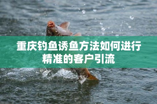 重庆钓鱼诱鱼方法如何进行精准的客户引流
