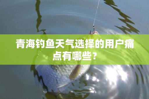 青海钓鱼天气选择的用户痛点有哪些？
