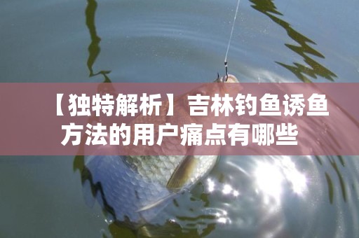 【独特解析】吉林钓鱼诱鱼方法的用户痛点有哪些