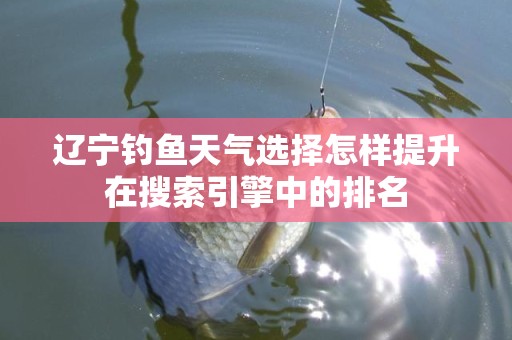 辽宁钓鱼天气选择怎样提升在搜索引擎中的排名