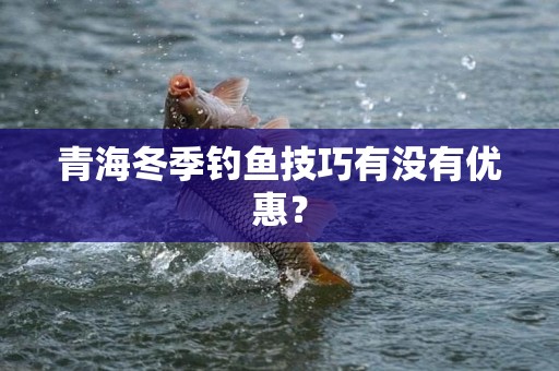 青海冬季钓鱼技巧有没有优惠？