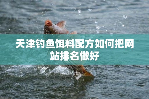 天津钓鱼饵料配方如何把网站排名做好