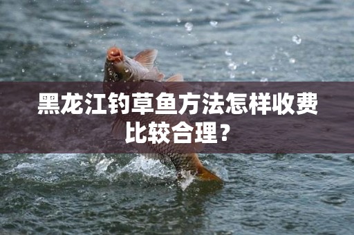 黑龙江钓草鱼方法怎样收费比较合理？