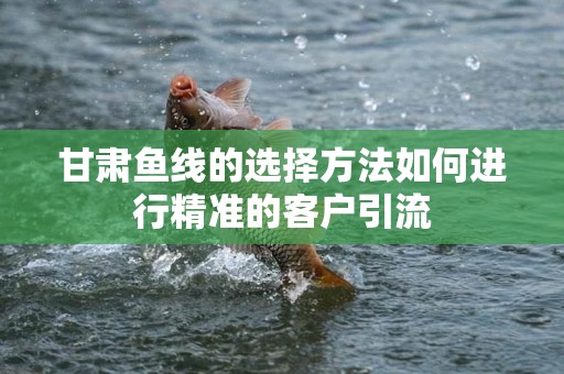 甘肃鱼线的选择方法如何进行精准的客户引流