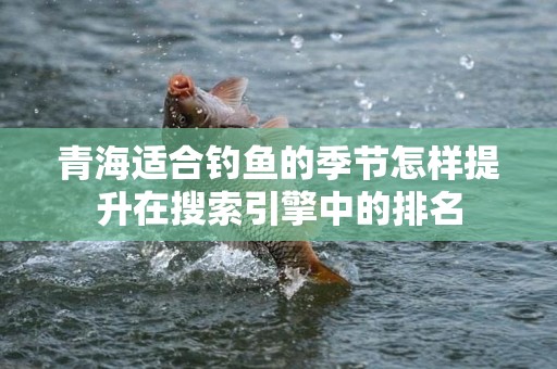 青海适合钓鱼的季节怎样提升在搜索引擎中的排名