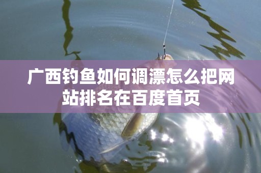 广西钓鱼如何调漂怎么把网站排名在百度首页