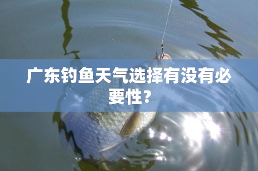 广东钓鱼天气选择有没有必要性？