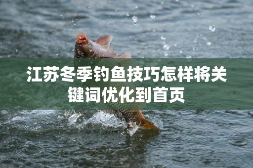 江苏冬季钓鱼技巧怎样将关键词优化到首页