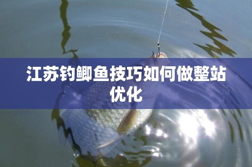 江苏钓鲫鱼技巧如何做整站优化