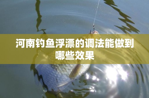 河南钓鱼浮漂的调法能做到哪些效果