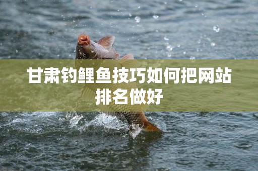 甘肃钓鲤鱼技巧如何把网站排名做好