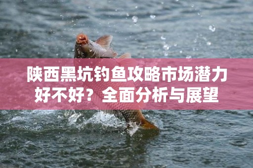 陕西黑坑钓鱼攻略市场潜力好不好？全面分析与展望