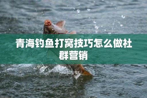青海钓鱼打窝技巧怎么做社群营销