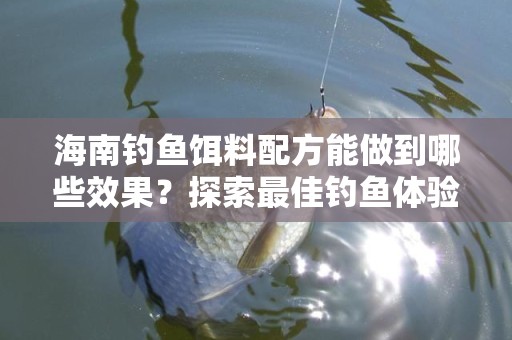 海南钓鱼饵料配方能做到哪些效果？探索最佳钓鱼体验