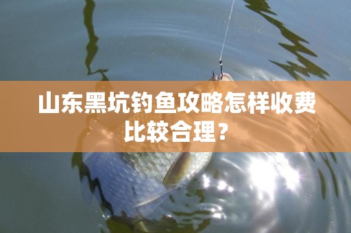 山东黑坑钓鱼攻略怎样收费比较合理？