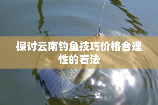 探讨云南钓鱼技巧价格合理性的看法