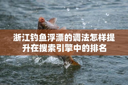 浙江钓鱼浮漂的调法怎样提升在搜索引擎中的排名