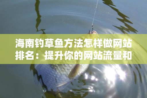 海南钓草鱼方法怎样做网站排名：提升你的网站流量和认知度