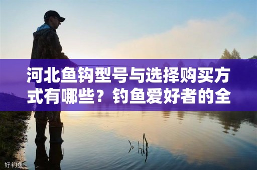 河北鱼钩型号与选择购买方式有哪些？钓鱼爱好者的全面指南