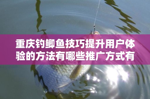 重庆钓鲫鱼技巧提升用户体验的方法有哪些推广方式有哪些