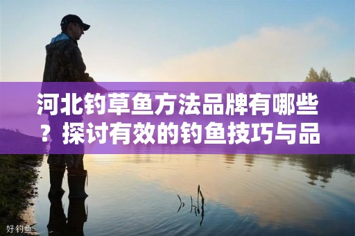 河北钓草鱼方法品牌有哪些？探讨有效的钓鱼技巧与品牌选择