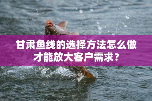 甘肃鱼线的选择方法怎么做才能放大客户需求？