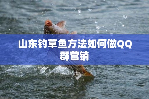 山东钓草鱼方法如何做QQ群营销