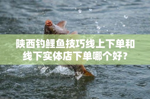 陕西钓鲤鱼技巧线上下单和线下实体店下单哪个好？