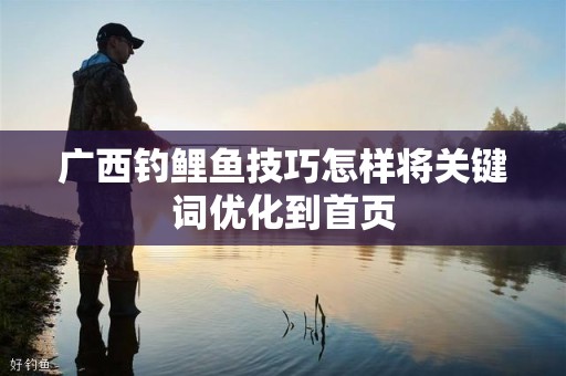 广西钓鲤鱼技巧怎样将关键词优化到首页