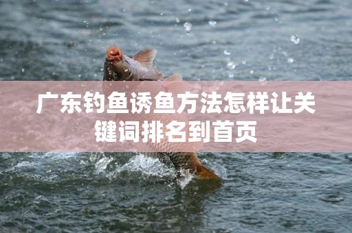 广东钓鱼诱鱼方法怎样让关键词排名到首页