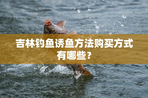 吉林钓鱼诱鱼方法购买方式有哪些？
