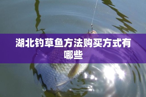 湖北钓草鱼方法购买方式有哪些