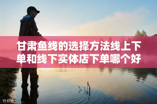 甘肃鱼线的选择方法线上下单和线下实体店下单哪个好？