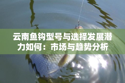 云南鱼钩型号与选择发展潜力如何：市场与趋势分析