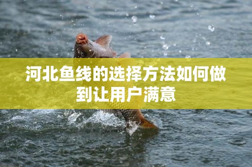 河北鱼线的选择方法如何做到让用户满意