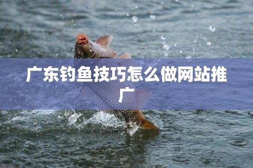 广东钓鱼技巧怎么做网站推广