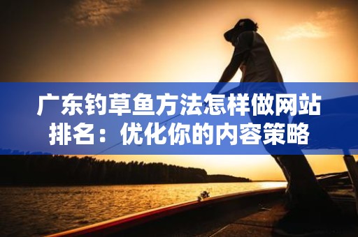 广东钓草鱼方法怎样做网站排名：优化你的内容策略