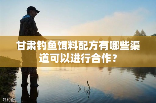 甘肃钓鱼饵料配方有哪些渠道可以进行合作？