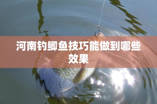 河南钓鲫鱼技巧能做到哪些效果